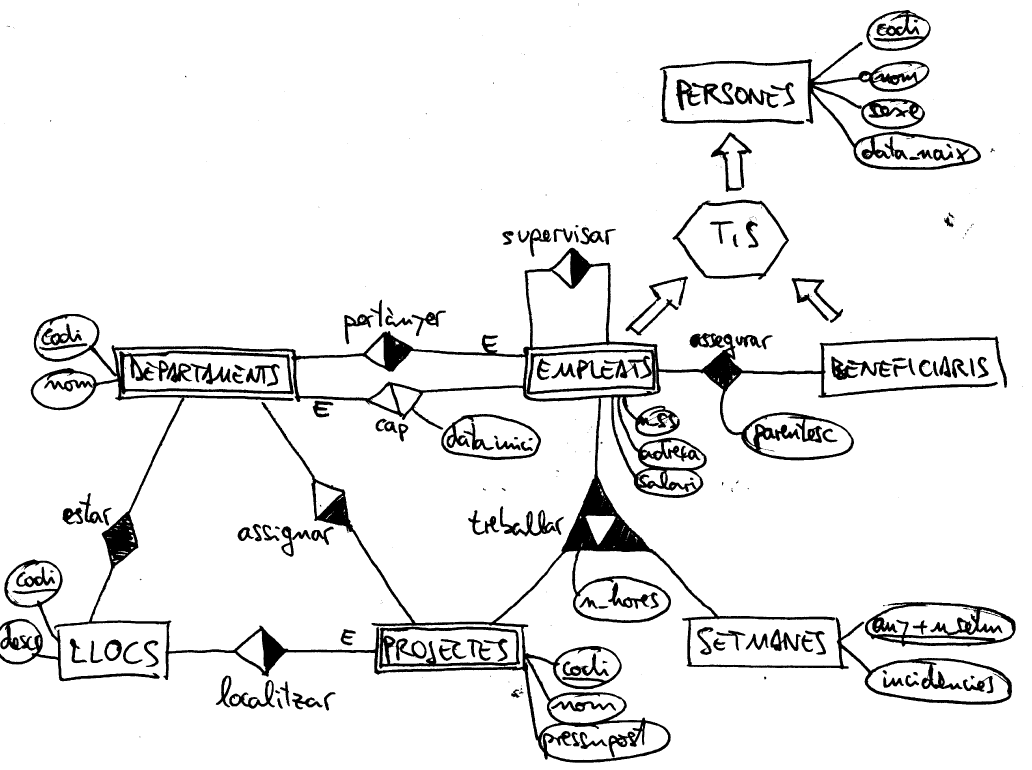 Solución al ejercicio 5