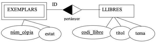 Restricción de Identificación