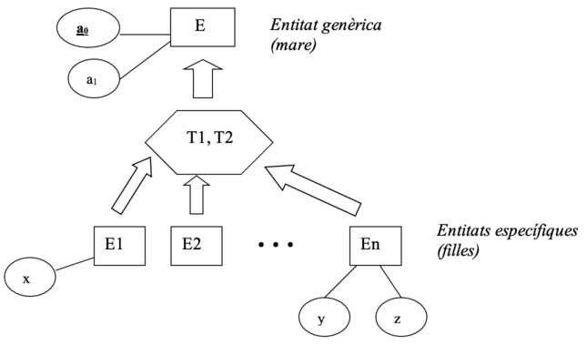 Especialización - Generalización