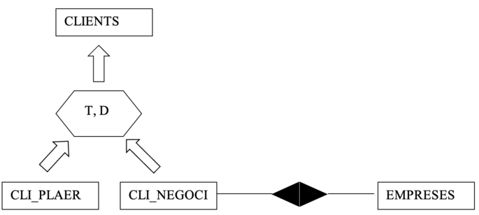 Especialización de una entidad