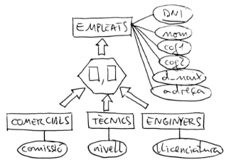 ejemplo generalización