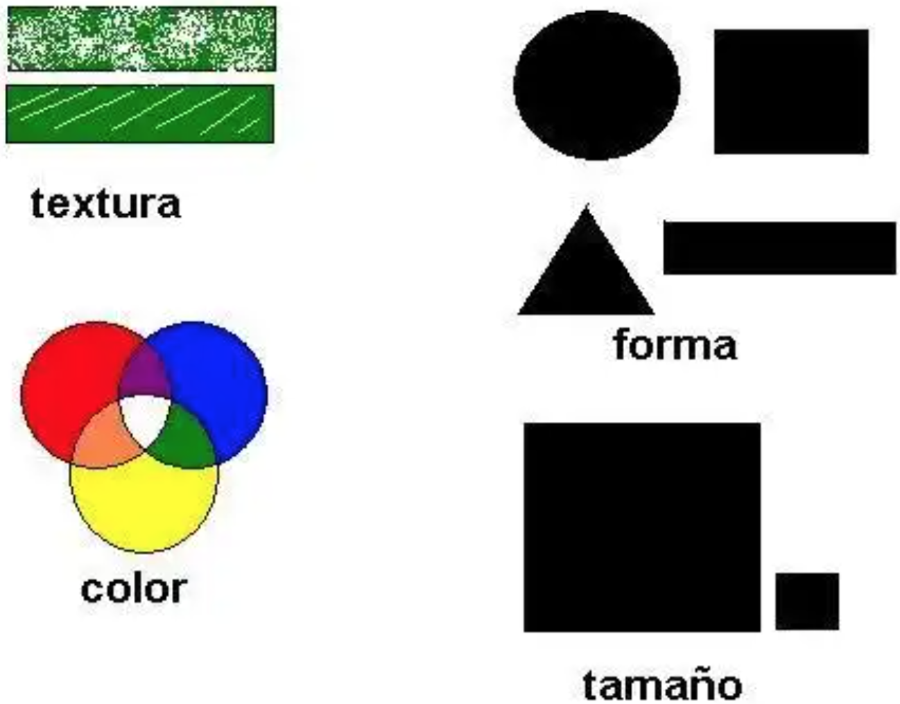 Elementos visuales del diseño web